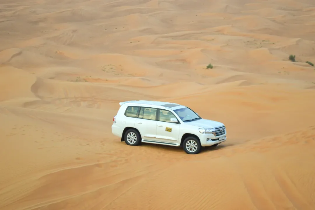 Morning Desert Safari (5)